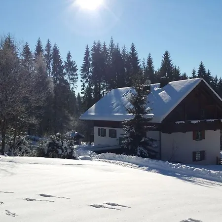 Waldhaus Sonnenberg 1 Hébergement de vacances Drachselsried